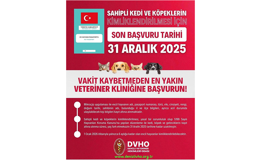 https://www.denizlivho.org.tr/odadan-kritik-uyari